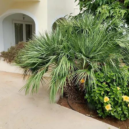 Rayma I-ii-iii Apartment Cala Blanca (Menorca)